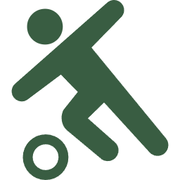 ICON IMAGES